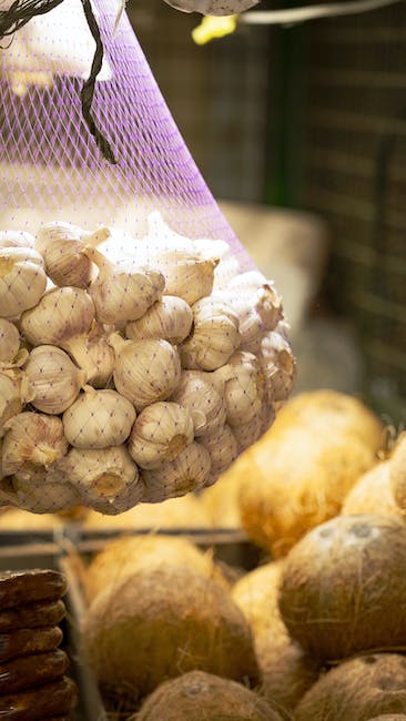 Top 5 mejores botas de vino: ¡Descubre cuál es la ideal para ti!