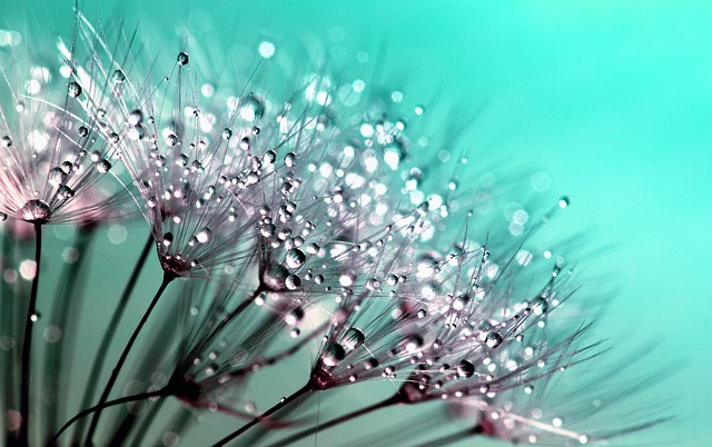 Los mejores perfumes con fragancias irresistibles