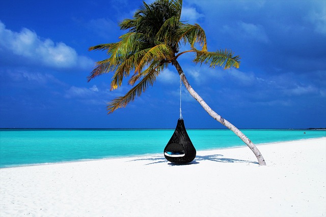 Los mejores perfumes de verano para hombres
